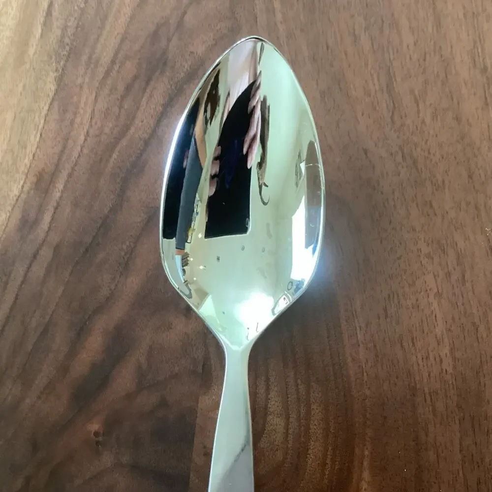 Dansk Origami Frost Serving Spoon
